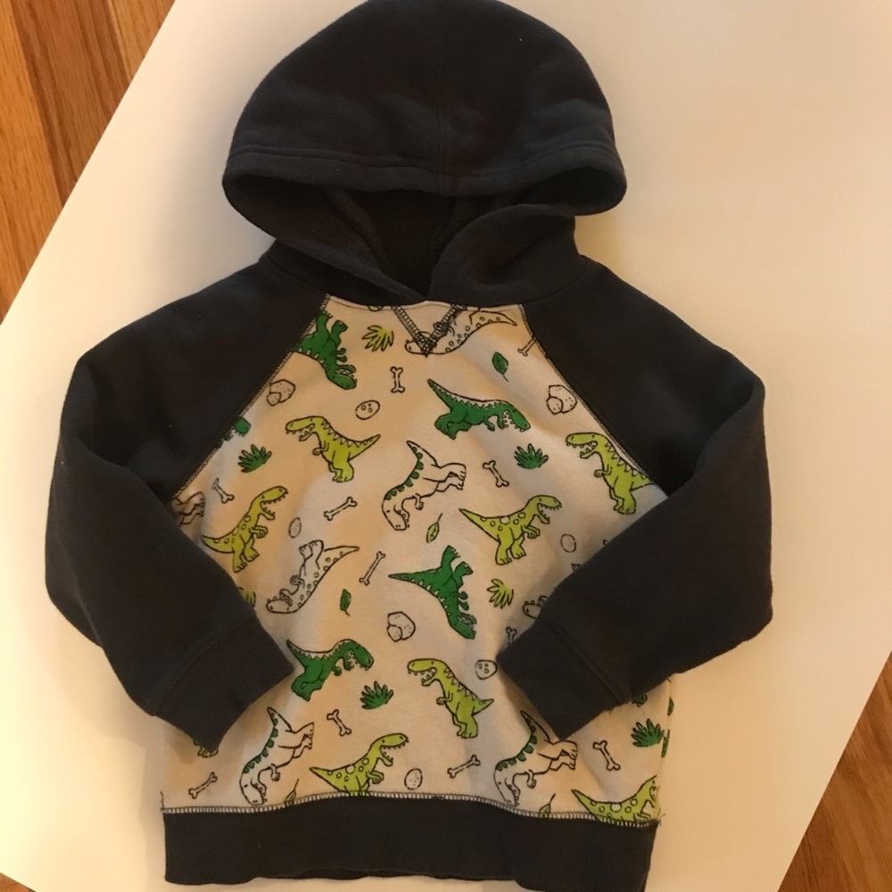 🦕Dino Hoodie